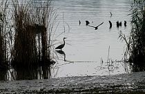 ARQUIVO - Rio Danúbio, perto de Bazias, na Roménia