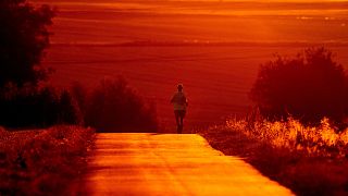 A man uses cool morning hours for a run on a small road in the outskirts of Frankfurt.