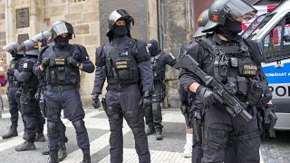 الشرطة التشيكية