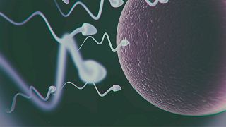 Una nueva herramienta de inteligencia artificial encuentra esperma en tiempo récord