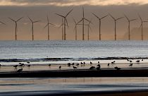 An offshore wind farm from the beach in Hartlepool, England