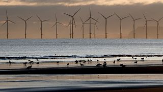 An offshore wind farm from the beach in Hartlepool, England