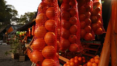 Unfair EU rules to hit SA orange exports, say growers