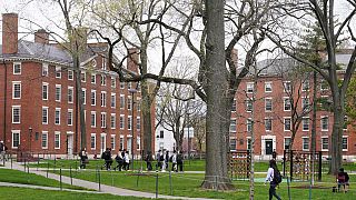 Harvard Üniversitesi kampüsü