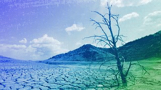 A dead-looking tree is seen on the cracked mud of the dry reservoir bed of Contreras in Valencia, 2006