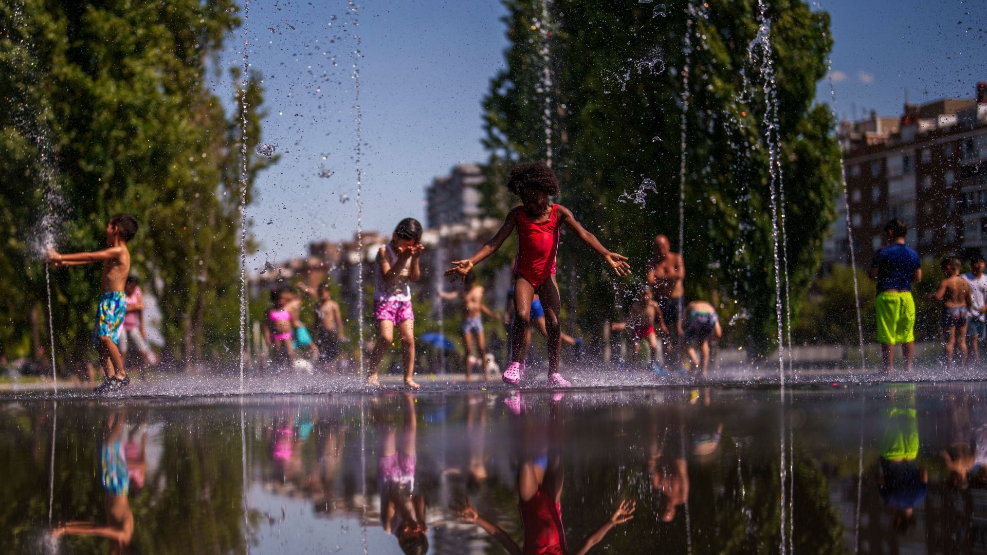 Lviv, Ukraine - June 23, 2019: kids with fish net looking tadpole in