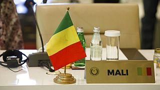Mali's junta partially reshuffles government after draft constitution vote