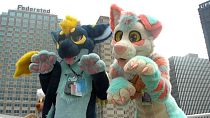More than 10,000 furries flock to giant anthropomorphic convention in US More than 10,000 furries flock to giant anthropomorphic convention in US