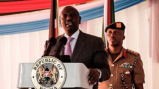 Kenya: President Ruto lifts logging ban