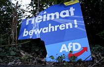 Αφίσα του ακροδεξιού κόμματος Εναλλακτική για τη Γερμανία (φώτο αρχείου)