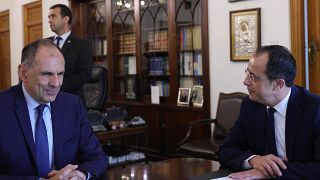 Ο ΥΠΕΞ της Ελλάδας, Γιώργος Γεραπετρίτης, έγινε δεκτός από τον Πρόεδρο της Κυπριακής Δημοκρατίας, Νίκο Χριστοδουλίδη