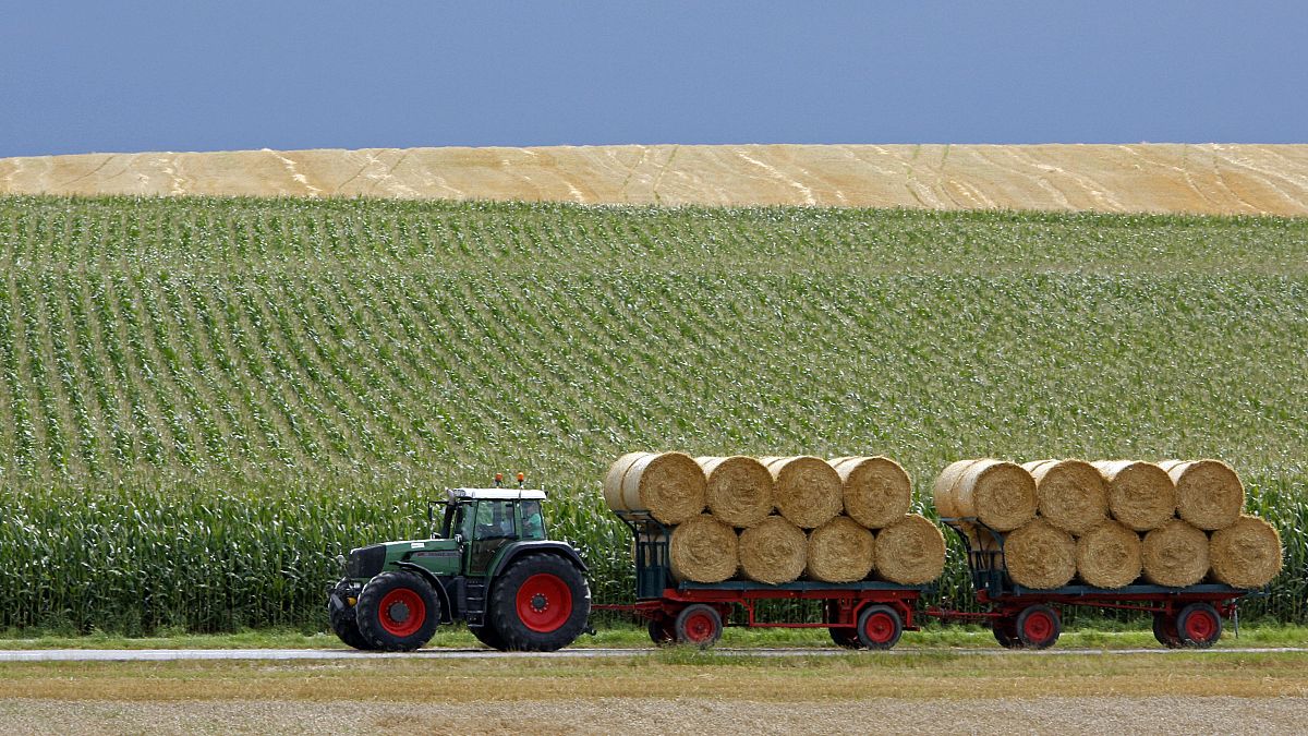 A tractor with trailers transports bales of straw from a field near Dachau, southern Germany.
