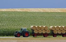 A tractor with trailers transports bales of straw from a field near Dachau, southern Germany.