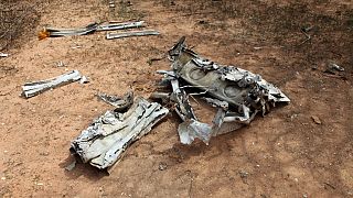 Crash d'Air Algérie en 2014 : le procès en octobre suspendu