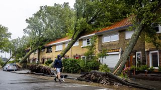 هولندا: عاصفة