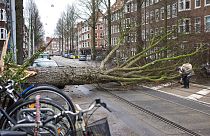 Halálos áldozata is van a viharnak Hollandiában