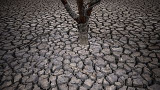 Barselona'nın kuzeyindeki Sau rezervuarında su seviyesi düştükten sonra toprak çatladı