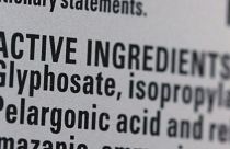 Roundup's list of ingredients, including Glyphosate, is seen on a bottle set for sale in a store in Manhattan, New York City.