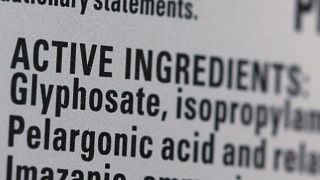 Roundup's list of ingredients, including Glyphosate, is seen on a bottle set for sale in a store in Manhattan, New York City.