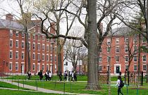 the campus of Harvard University in Cambridge