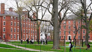 the campus of Harvard University in Cambridge