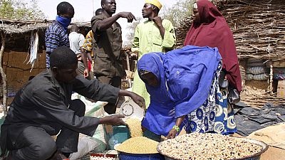 Niger: free distribution of food against famine