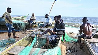 In Côte d'Ivoire, artisanal fishermen forced to halt work to protect fish