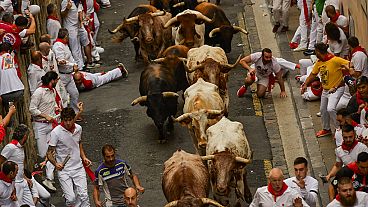 Забег быков в Памплоне