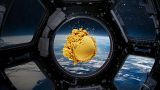 A “Soleína”, da empresa finlandesa de tecnologia alimentar Solar Foods, aqui vista em forma de pó, poderá ser usada para alimentar os astronautas.