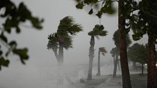 Las olas chocan contra la costa a lo largo de la calzada de Jensen Beach, a medida que las condiciones se deterioran con la llegada del huracán Nicole en 2022.