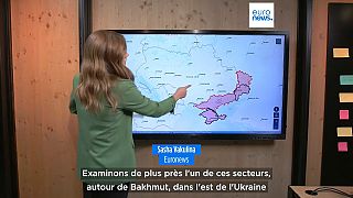 SASHA VAKULINA, euronews