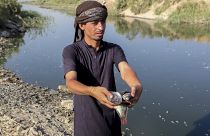 صياد عراقي يمسك أسماك نافقة بضفة النهر