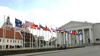 Vilnius'ta zirve öncesi üye ülkelerin bayrakları göndere çekildi 