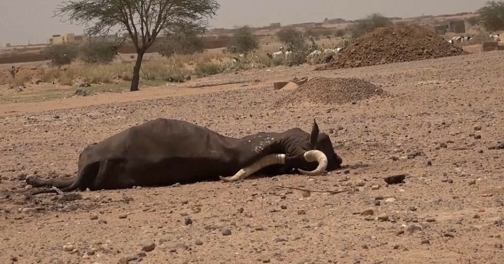 Niger in the grip of a blistering heatwave with high temperatures