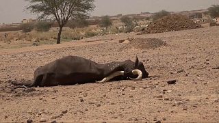 Niger in the grip of a blistering heatwave with high temperatures 