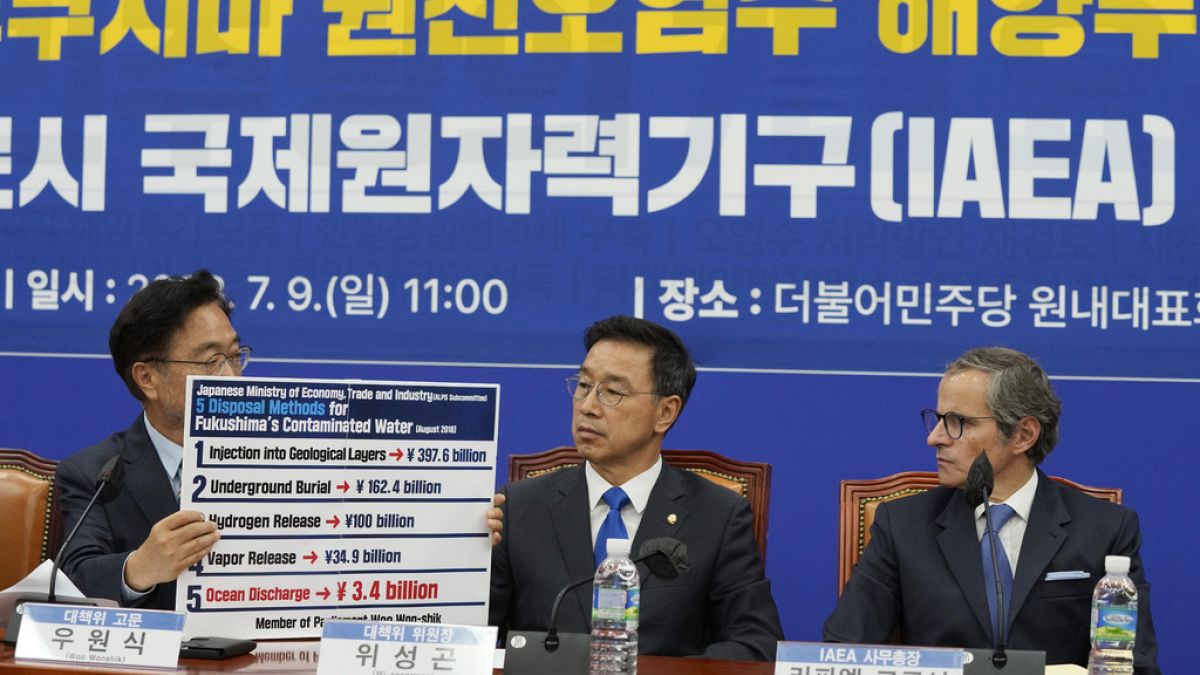 Güney Kore'de ana muhalefetteki Demokrat Parti milletvekili Woo Won-shik, Grossi'ye  Fukuşima'nın kirli suyu için önerilen bertaraf yöntemlerinin listesini gösteriyor. 
