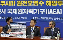 Güney Kore'de ana muhalefetteki Demokrat Parti milletvekili Woo Won-shik, Grossi'ye  Fukuşima'nın kirli suyu için önerilen bertaraf yöntemlerinin listesini gösteriyor.