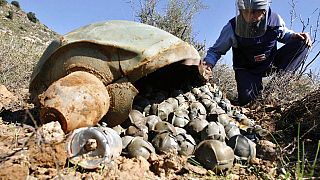 Opération de déminage au Liban d'une bombe à sous-munition (archives 2006)