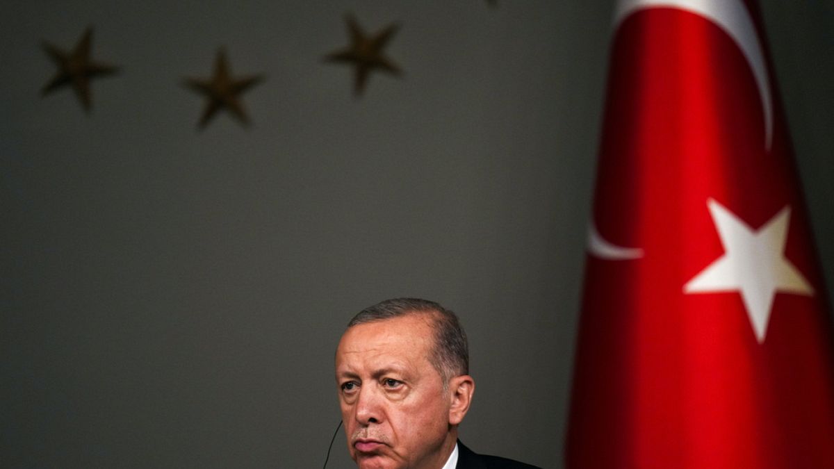 Le président turc lors de la visite de son homologue ukrainien à Ankara, le 8 juillet 2023