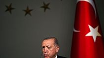 Erdogan says Turkey could approve Sweden's NATO membership if Europeans 'open way' to Turkey EU bid