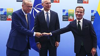 Erdogan dà il via libera per l'adesione della Svezia alla Nato