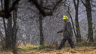 A man walks in a park during a snow storm in Johannesburg, South Africa, Monday, July 10, 2023. Temperatures dropped to sub-zero as a rare cold front hit Johannesburg.