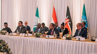 Sudan govt boycotts regional peace talks in Ethiopia