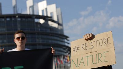 Manifesation devant le Parlement européen à Strasbourg pour défendre la loi restauration de la nature
