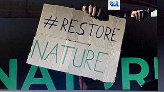 Befürworter und Gegner des Natur-Gesetzes machten in Straßburg mobil