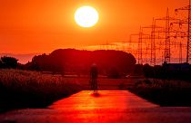 Мужчина едет на велосипеде по небольшой дороге в окрестностях Франкфурта-на-Майне (Германия) во время восхода солнца 9 июля 2023 года.