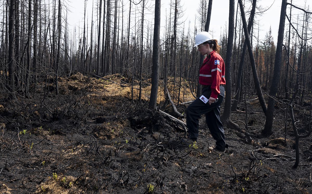 Storms Cause Record-breaking Wildfires In Canada As British Columbia ...