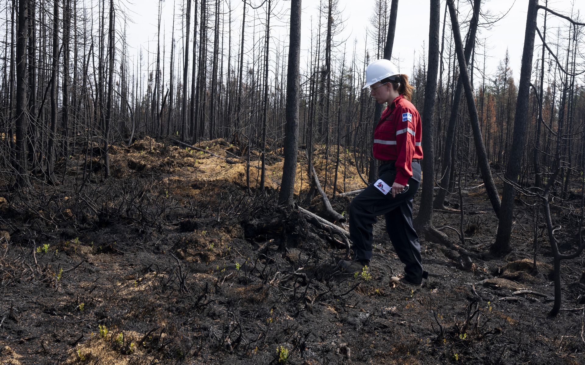 Storms cause record-breaking wildfires in Canada as British Columbia ...