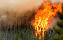 Flames from the Donnie Creek wildfire burn along a ridge top north of Fort St. John, British Columbia, Sunday, July 2, 2023.