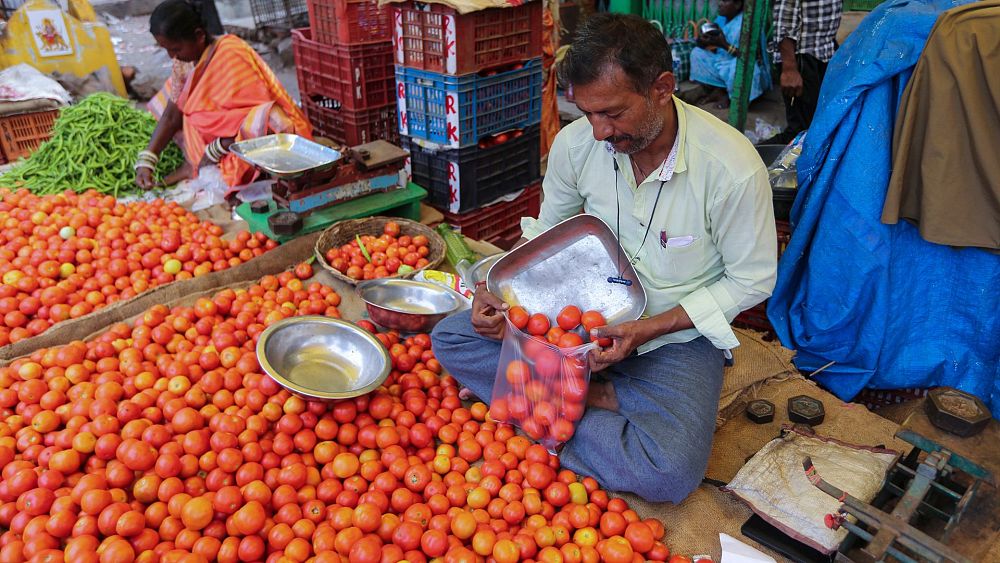 De tomatenprijzen zijn in India met 400% gestegen doordat hittegolven en overstromingen de oogsten troffen